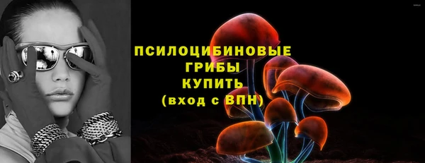 винт Алзамай