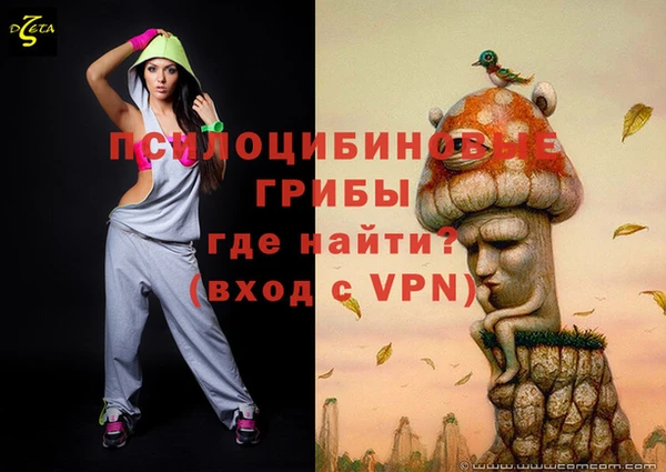 ешки Аркадак