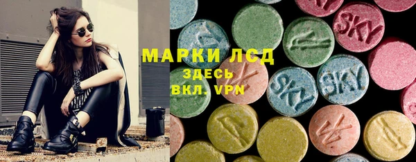 винт Алзамай