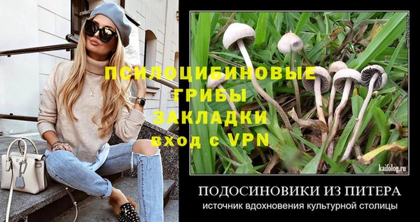ешки Арсеньев